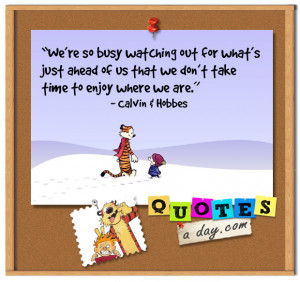 funny calvin and hobbes quotes