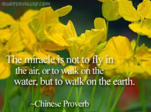 The Miracle Is Not To Fly In The Air