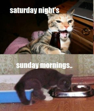 Saturday Nights - Sunday Mornings - Funny pictures