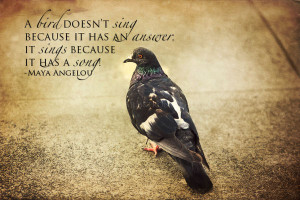 bird doesn't sing because it has an answer, It sings because it has ...