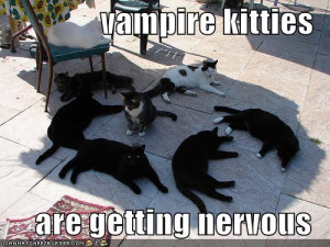 Vampire kittehs:
