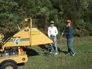 Mulching , Tree Removal, Land Clearing, Pest Plant