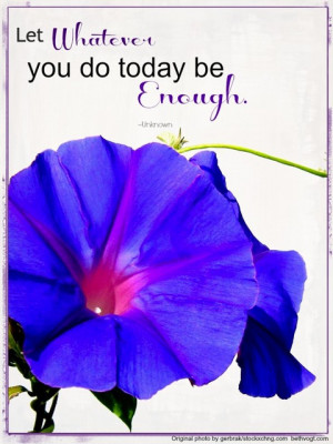 Morning Glories Flowers With Quotes