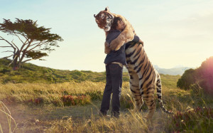 Man tiger hug Wallpapers Pictures Photos Images