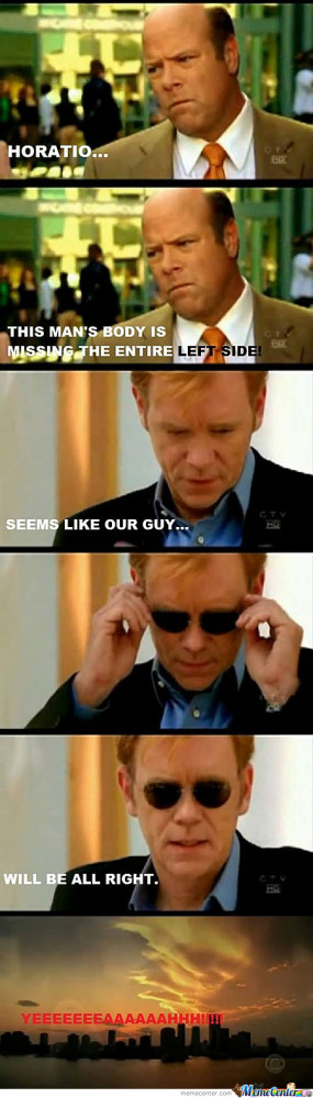 Horatio Caine Memes - 24 results