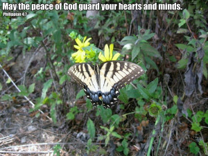 10 Bible verses to bring peace into your heart