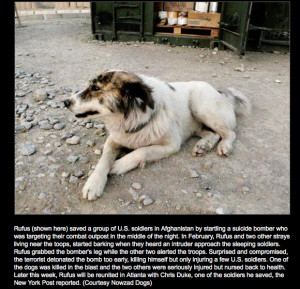 Funny Quotes Contact Dmca...