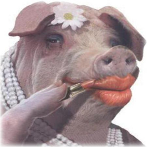 pig on lipstick quote