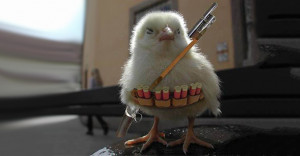 The Best Military...