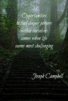 Joseph Campbell More