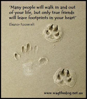 Footprints More