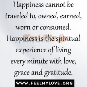 Happiness-cannot-be-traveled-to-owned-earned-worn-or-consumed ...