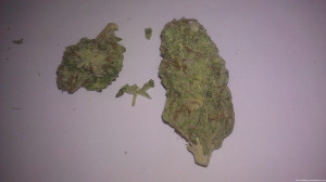 Willie Nelson Marijuana Quotes