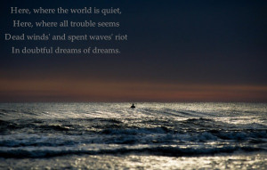 surf quote lone surfer