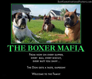 the-boxer-mafia-best-demotivational-posters