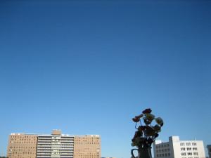 MacDonald on contentment