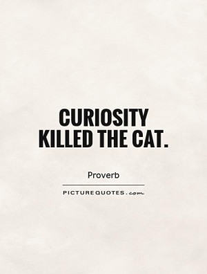 Curiosity Killed the Cat Quotes Funny