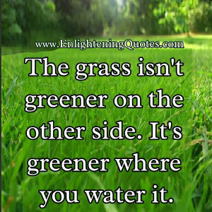 The grass isn’t greener on the other side