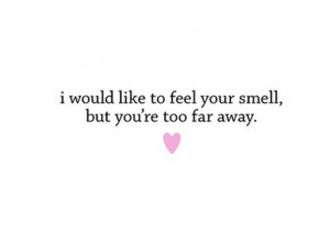 like to feel your smell but you are too far away