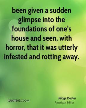 been given a sudden glimpse into the foundations of one's house and ...