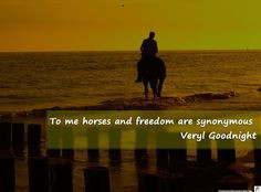 Horses and Freedom - The Warmblood Horse www.thewarmbloodhorse.com