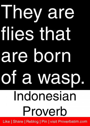 WASP QUOTES
