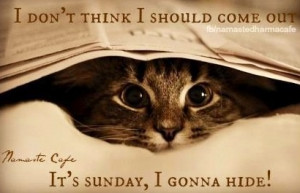 Sunday hiding cat quote via Namaste Cafe at www.Facebook.com ...