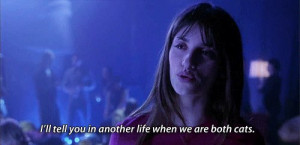 ... ll tell you in another life when we are both cats - Vanilla Sky (2001