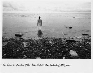 ... Sea (After Kate Chopin’s ‘The Awakening’, 1899), 2011 – 2010