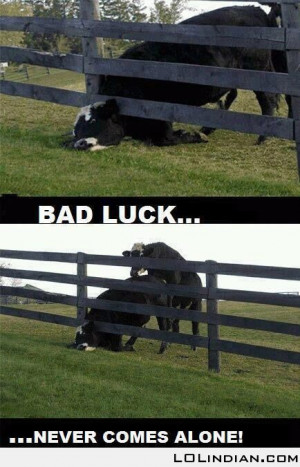 Best example of bad luck