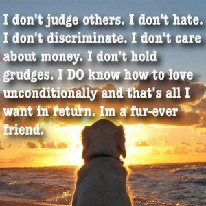 Don’t Judge Others I Don’t Hate - Animal Quote