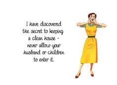 ... clean house more funny things cleaning quotes husband cleaning house