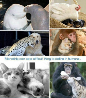 Animals love unconditionally ♥