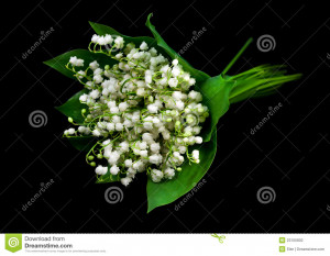 Spring flowers lily of the valley on black background.