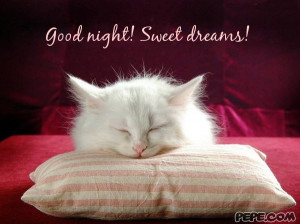 Good night! Sweet dreams!