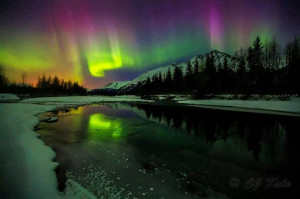 Cj Kale, Sky, Nature, Beautiful, Alaska, Aurora Borealis, Northern ...