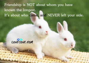 lovesove_friendship_quote_025