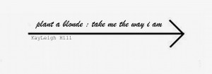 take me the way i am