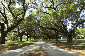 Boone Hall Plantation South Carolina