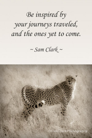 ... Inspirational Quote, Animal Photo, Nature Photography, Safari Animals