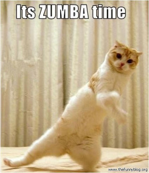 cat-it-is-zumba-time-funnyblog