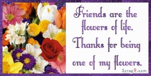 Thanks for Being One of My Flowers ~ Friendship Quote