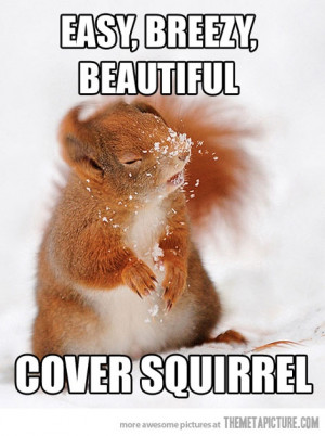 funny easy breezy cover squirrel funny caption picture