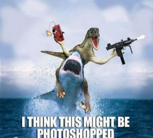 What can the funniest shark memes on the internetz teach us about ...