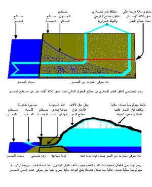 Funny Quotes Contact Us DMCA Notice