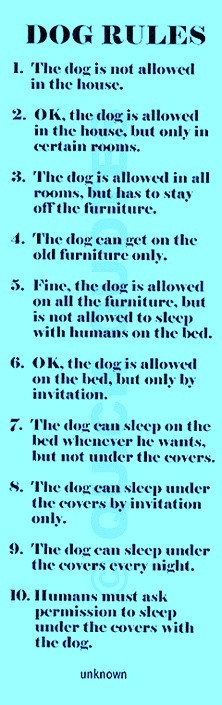 Wisdom that makes you smile.