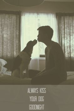 dogs quotes quotes about dogs a kisses sweet dog quotes canine quotes ...