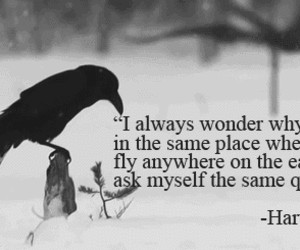 Tagged with bird quotes text snow