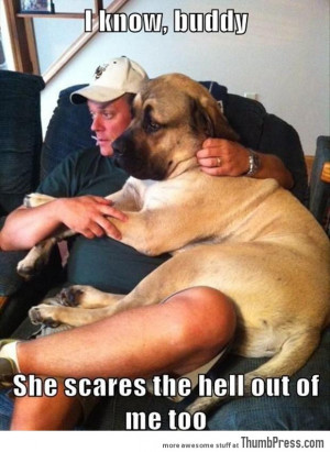 These photos will definitely make you laugh and brighten your weekend ...