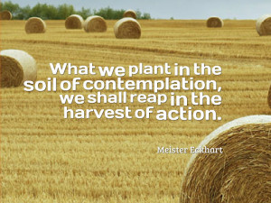 What we plant in the soil of contemplation, we shall reap in the ...